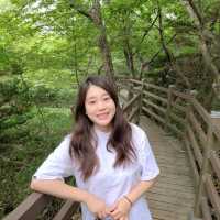 1100고지 습지탐방로