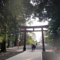 【鹿児島県】霧島神宮で神話と神秘に触れる旅