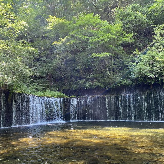 暑い日の最高の癒し！