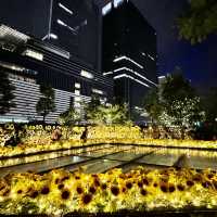 名古屋　大名古屋ビルヂングの夜のひまわり畑