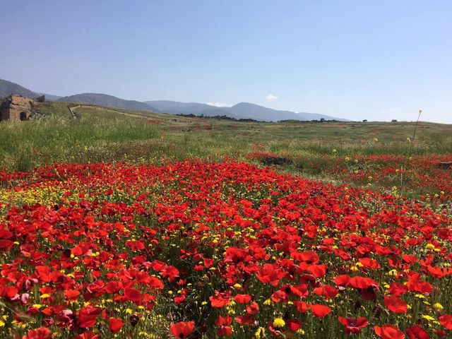 Hierapolis 