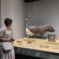 Borneo Cultures Museum ~ Kuching