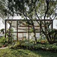 Patom Organic Living