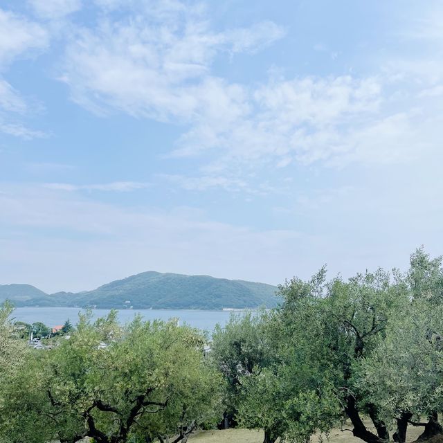 香川＊小豆島オリーブ公園