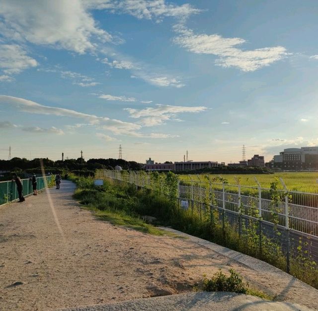 【大阪 伊丹空港ITM 】飛行機に手が届きそうな千里川✈️