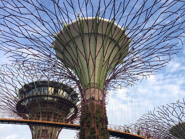 新加坡最美花園—Gardens by the Bay