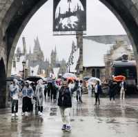 The Wizarding World of Harry Potter 