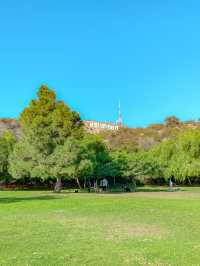 LA에서 가장 여유로운 공원🌳