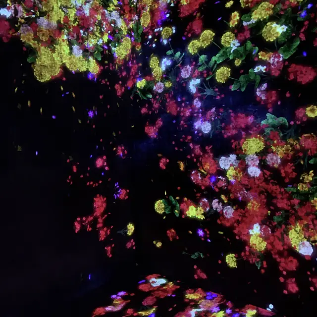 搬遷前的東京台場Teamlab無界之旅