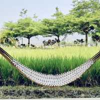 ที่พักวิวทุ่งนา