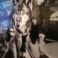 中環好去處 ～ Mr. Wolf 