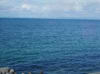淡路島『青海波』（海の舎）
