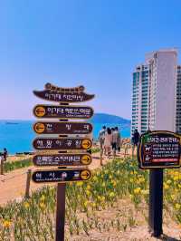 유채꽃이 가득한 부산 속 제주도 ‘오륙도 해맞이공원’🌼