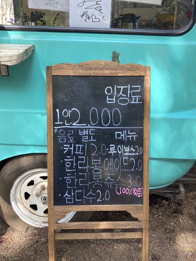 꼭 가봐야 할 오름 “안돌오름 비밀의 숲”