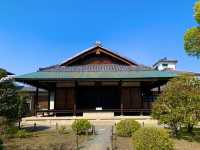 京都　京都散策旅　渉成園の庭園と桜のコラボに感動❗️