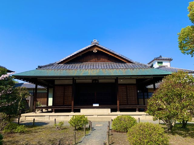 京都　京都散策旅　渉成園の庭園と桜のコラボに感動❗️