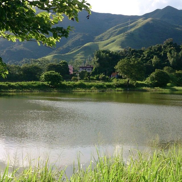 鹿頸景色