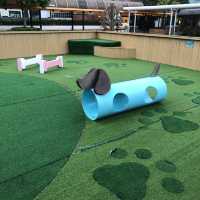 商場頂樓嘅寵物公園