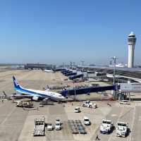 中部国際空港にある　無料遊びスポット　　フライトオブドリームス