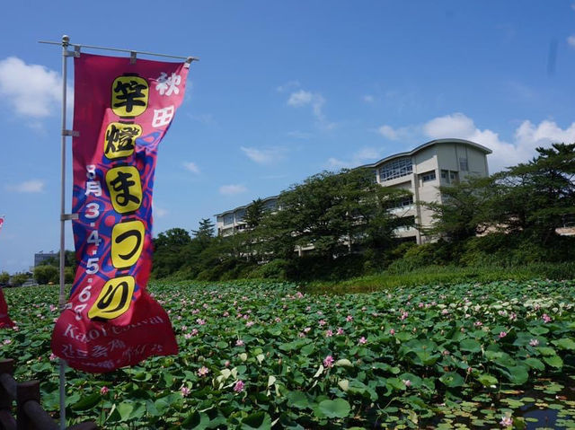 日本東北必睇祭典「秋田竿燈祭」📸️📸️
