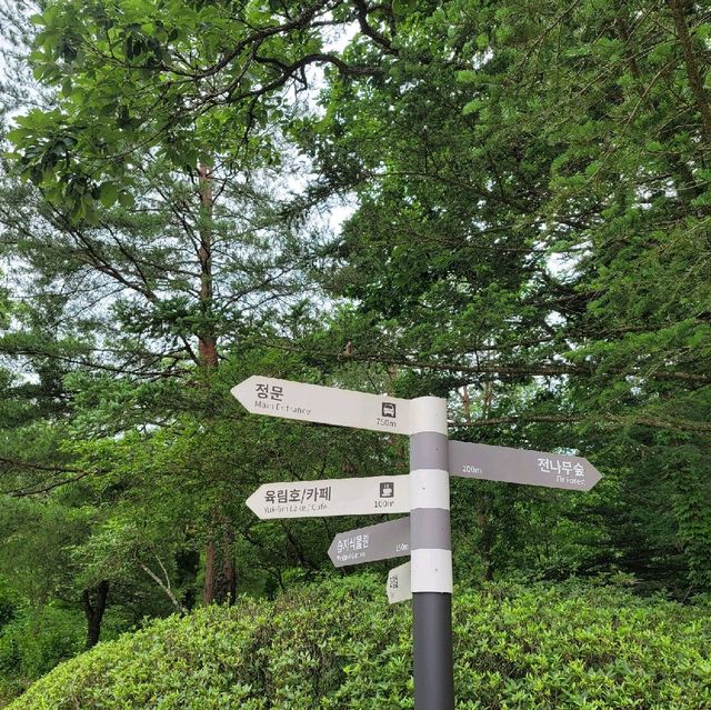 국립수목원에서 보내는 여름