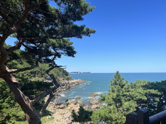 🇰🇷운치 있는 관동팔경~🙇‍♀️