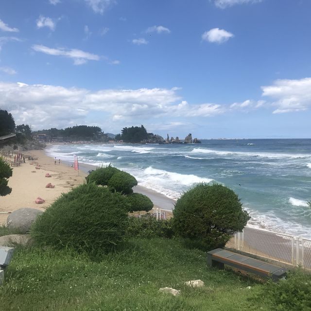 삼척 솔비치 해안산책로를 따라 걸어보아요🚶‍♀️🌊