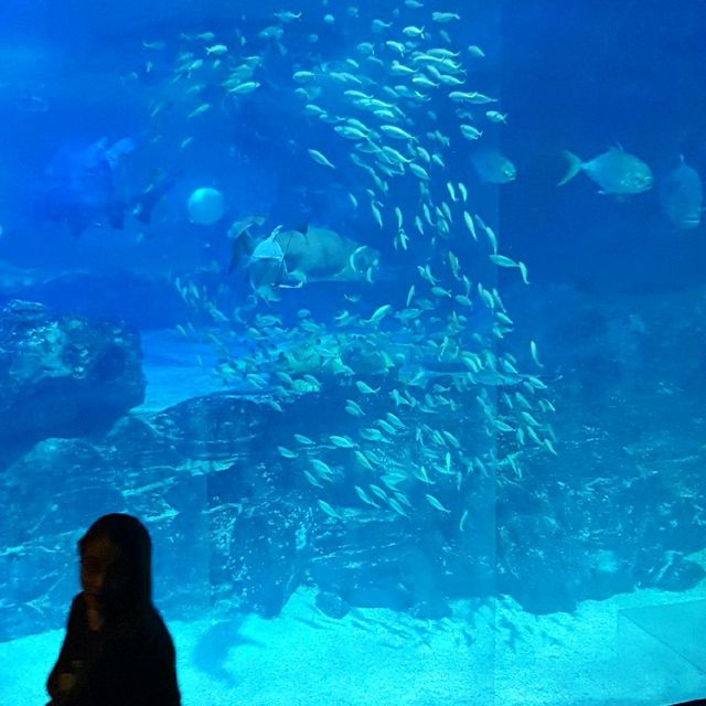 Sea Life Aquarium Busan