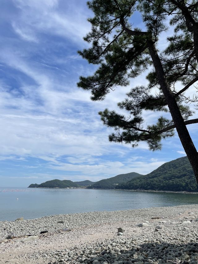 바다 바라보며 고기 먹기 성공! 여수 오션뷰 맛집 추천⛱️