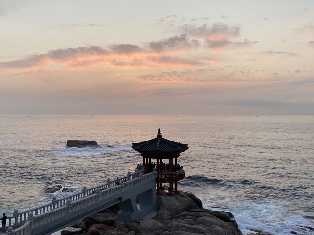 새벽 노을의 감성이 그립다면, 속초 영금정 ✨