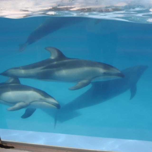 【新潟市水族館マリンピア日本海】