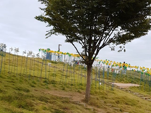 임진각 🤎 가을 피크닉 즐겨요