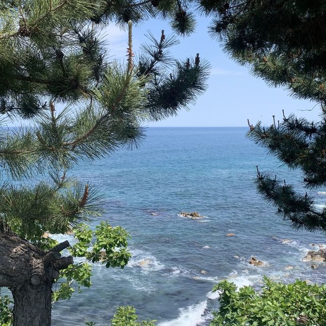 [양양] 강원도 필수 여행지 낙산사🙏
