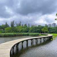 HK Wetland Park!