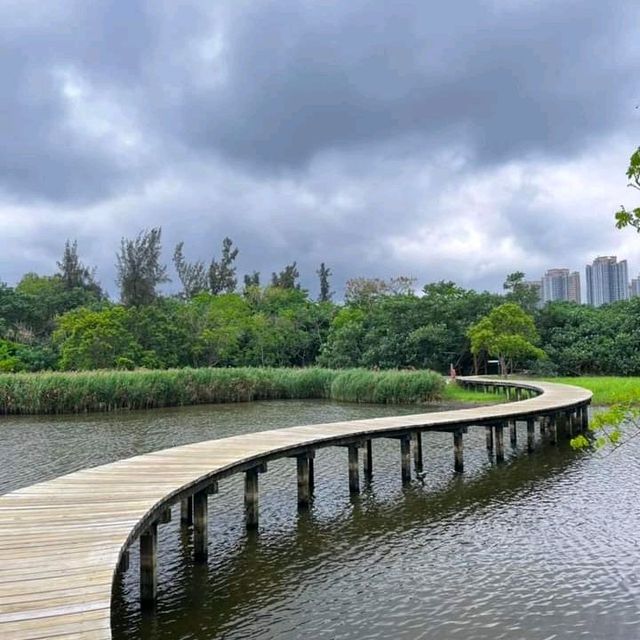 HK Wetland Park!
