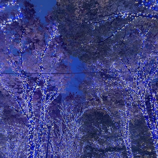 【横浜】マークイズみなとみらいのイルミネーションと紅葉のコラボレーション