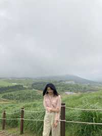 제주도 서쪽 여행,애월 새별오름