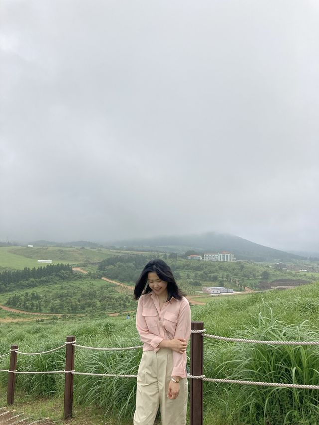 제주도 서쪽 여행,애월 새별오름
