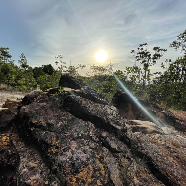 Bukit Shahbandar Forest Recreation Park 