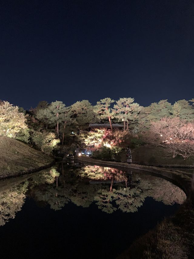 京都親子遊｜朱雀之庭賞夜楓