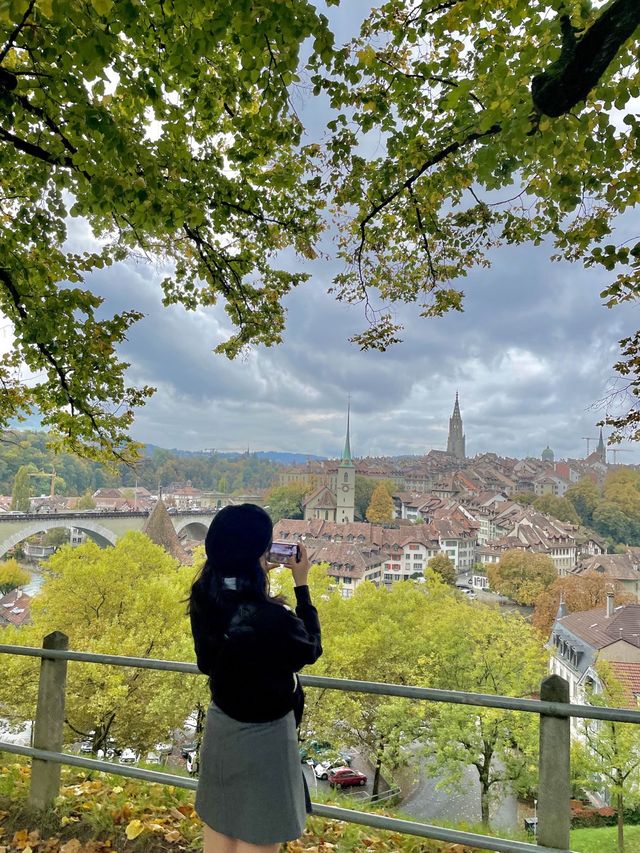 🇨🇭흐린 날에 가도 예쁜 베른 장미정원🌹