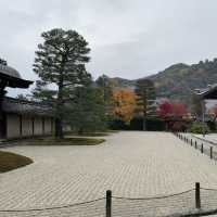 京都紅葉2022 天龍寺の紅葉