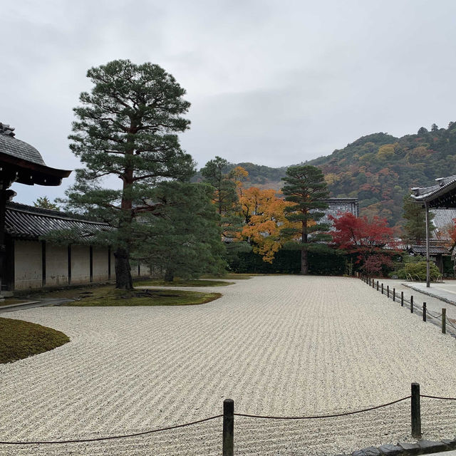 京都紅葉2022 天龍寺の紅葉