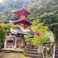 日本四國遍路-第三番札所金泉寺