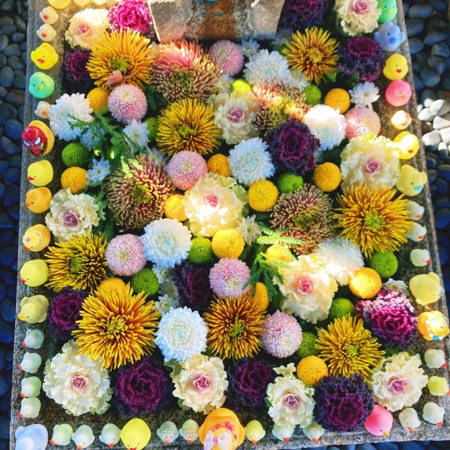 【京都】誰が置いたかアヒルさんの花手水🐤