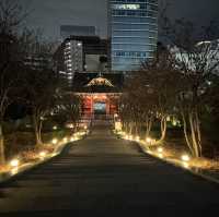 สวนสาธารณะชิบะแห่งกรุงโตเกียว🌷🗼