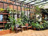 Akipu Coffee- “ร้านกาแฟลับกลางดอยเวียงแหง