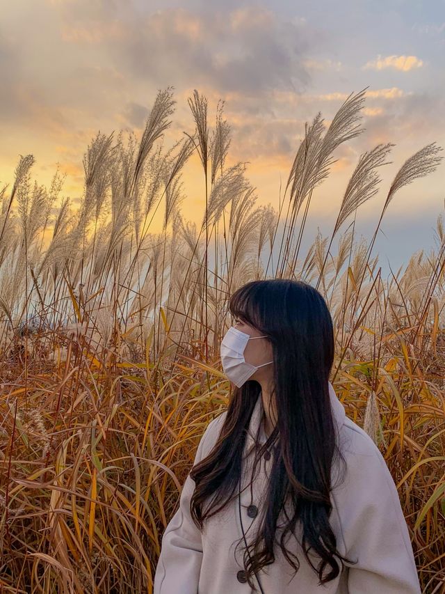 여름이 끝나면, '시흥갯골생태공원'