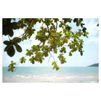 ปิคนิคชายหาดลับ อ่าวกะทิง จันทบุรี