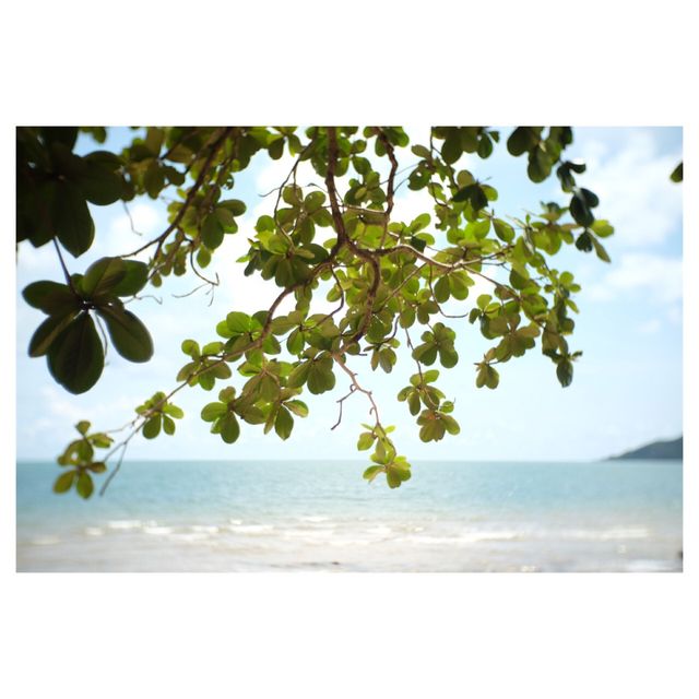 ปิคนิคชายหาดลับ อ่าวกะทิง จันทบุรี